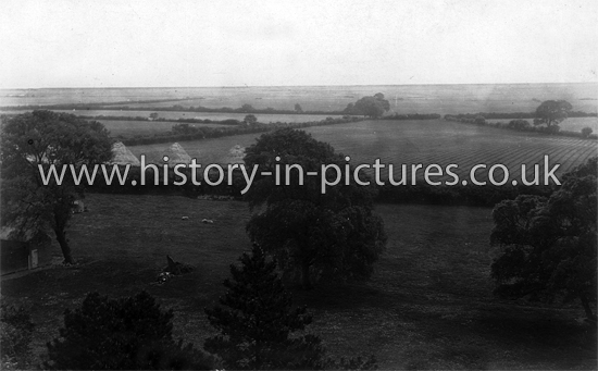 South View from the Church Tower, Gt Holland, Essex. c.1915